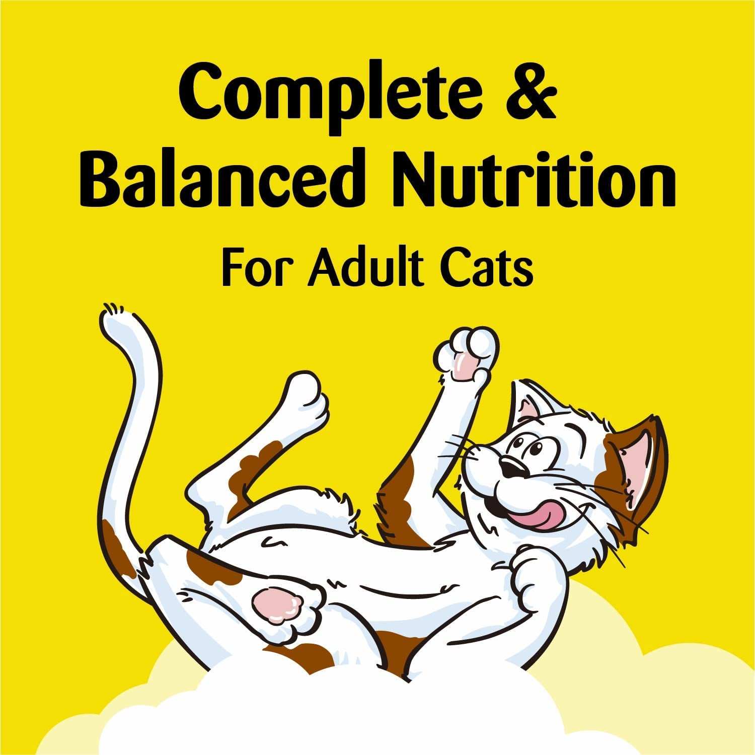 TEMPTATIONS Mixups Crunchy and Soft Cat Treats, Surfer&