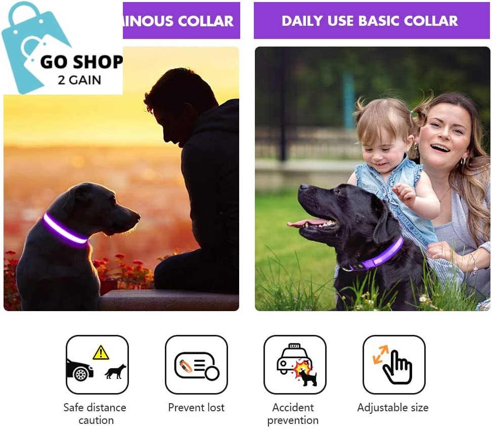 Light up Dog Collar, LED Dog Collar Rechargeable Lighted Dog Collar Glow Flashing Night Collar Waterproof, 4 Colors with 3 Sizes for Small Medium Large Dogs (S(0.98 * 15.75"), Purple)