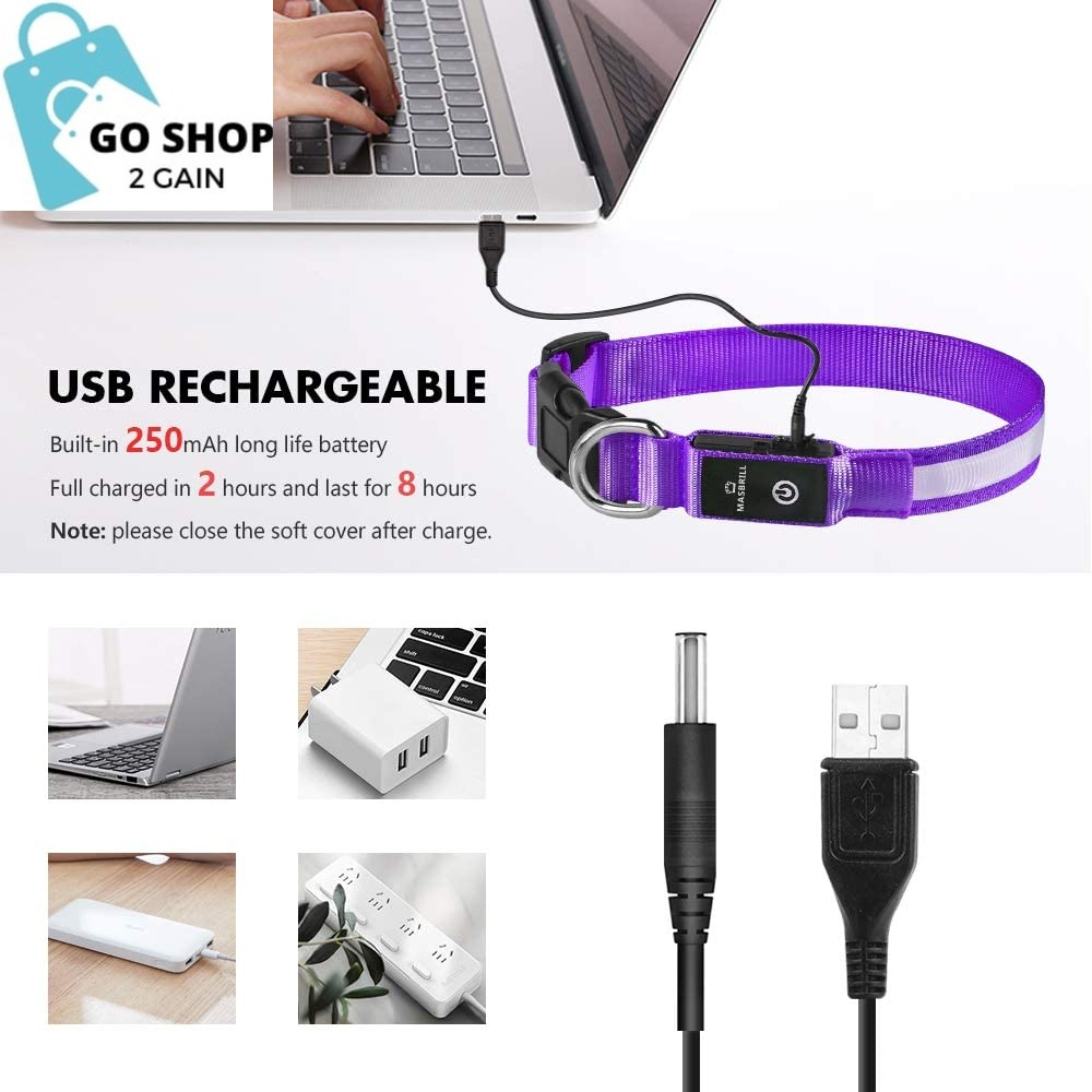 Light up Dog Collar, LED Dog Collar Rechargeable Lighted Dog Collar Glow Flashing Night Collar Waterproof, 4 Colors with 3 Sizes for Small Medium Large Dogs (S(0.98 * 15.75"), Purple)