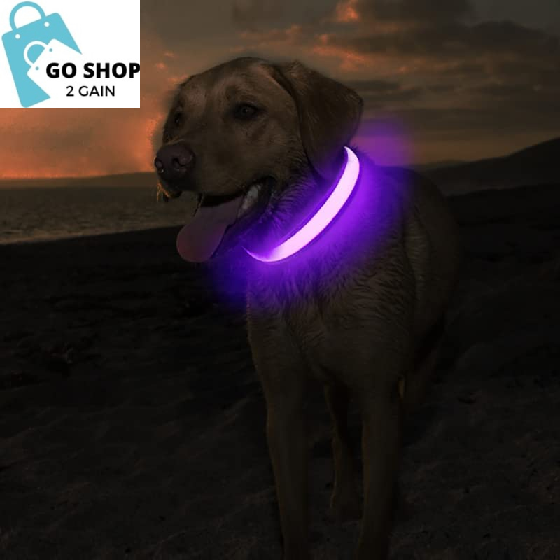 Light up Dog Collar, LED Dog Collar Rechargeable Lighted Dog Collar Glow Flashing Night Collar Waterproof, 4 Colors with 3 Sizes for Small Medium Large Dogs (S(0.98 * 15.75"), Purple)